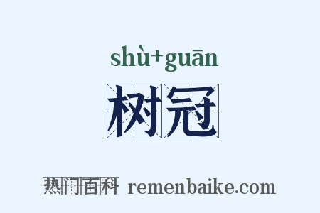 树冠是什么意思的图片